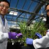 Des enzymes qui défient la nature pour une meilleure production de biocarburants