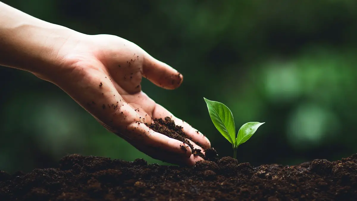 La plantation d'arbres : la solution préférée du public pour lutter contre le changement climatique