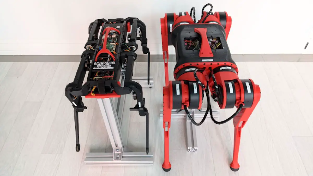 Le robot quadrupède Sassa qui redéfinit les règles du jeu