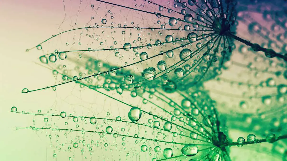 Et si on récupérait la chaleur solaire et l'énergie des gouttes de pluie ?