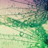 Et si on récupérait la chaleur solaire et l'énergie des gouttes de pluie ?