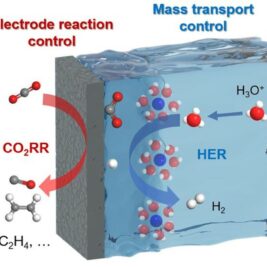 Défis et opportunités de l'électro-réduction du CO2