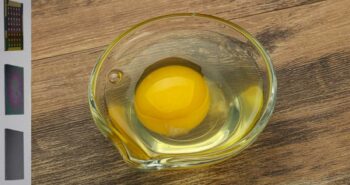 Le blanc d'œuf, une solution biodégradable pour l'optoélectronique