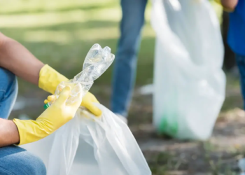 Le recyclage du plastique : une fausse bonne idée ?