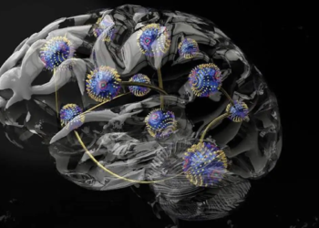 Des aimants tordus rendent l'informatique inspirée du cerveau plus adaptable