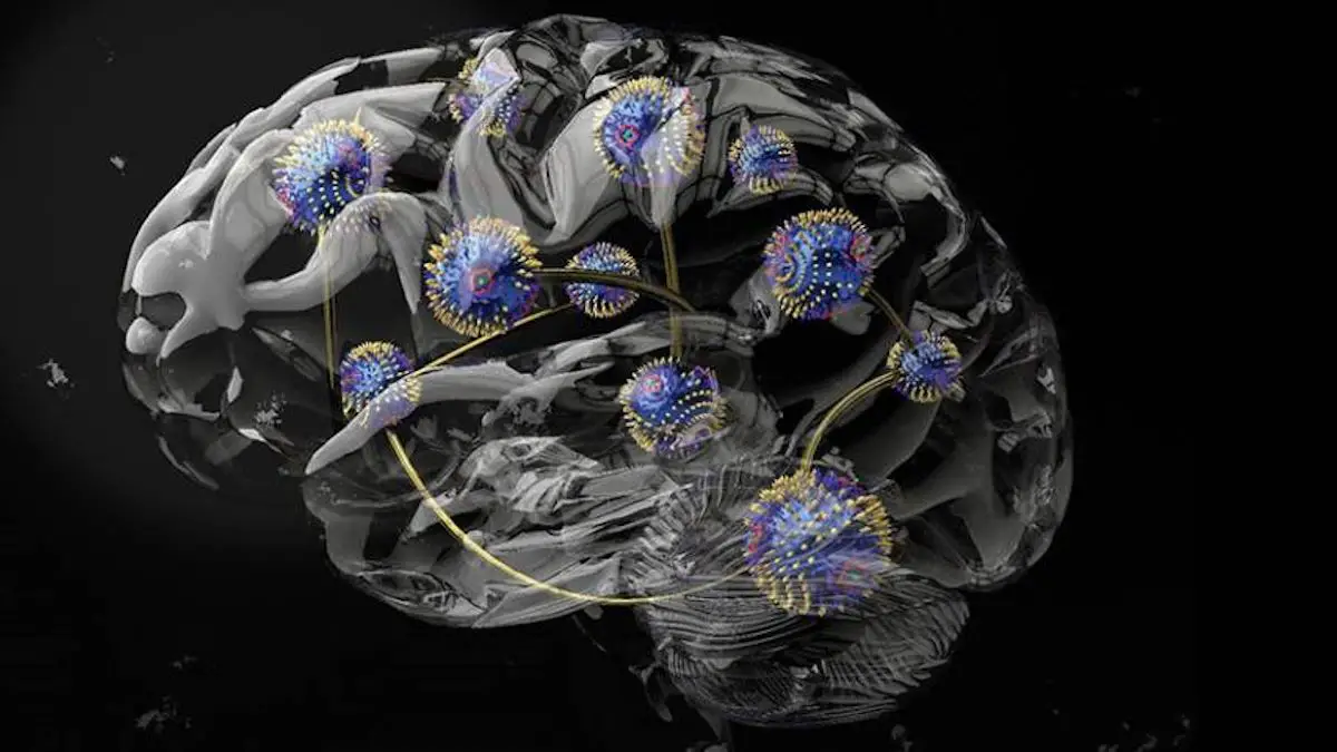 Des aimants tordus rendent l'informatique inspirée du cerveau plus adaptable