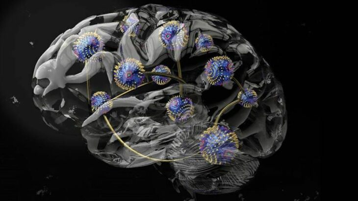 Des aimants tordus rendent l'informatique inspirée du cerveau plus adaptable