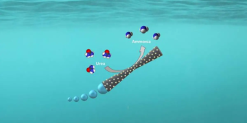 Des micromoteurs pour purifier les eaux usées et produire de l'énergie verte