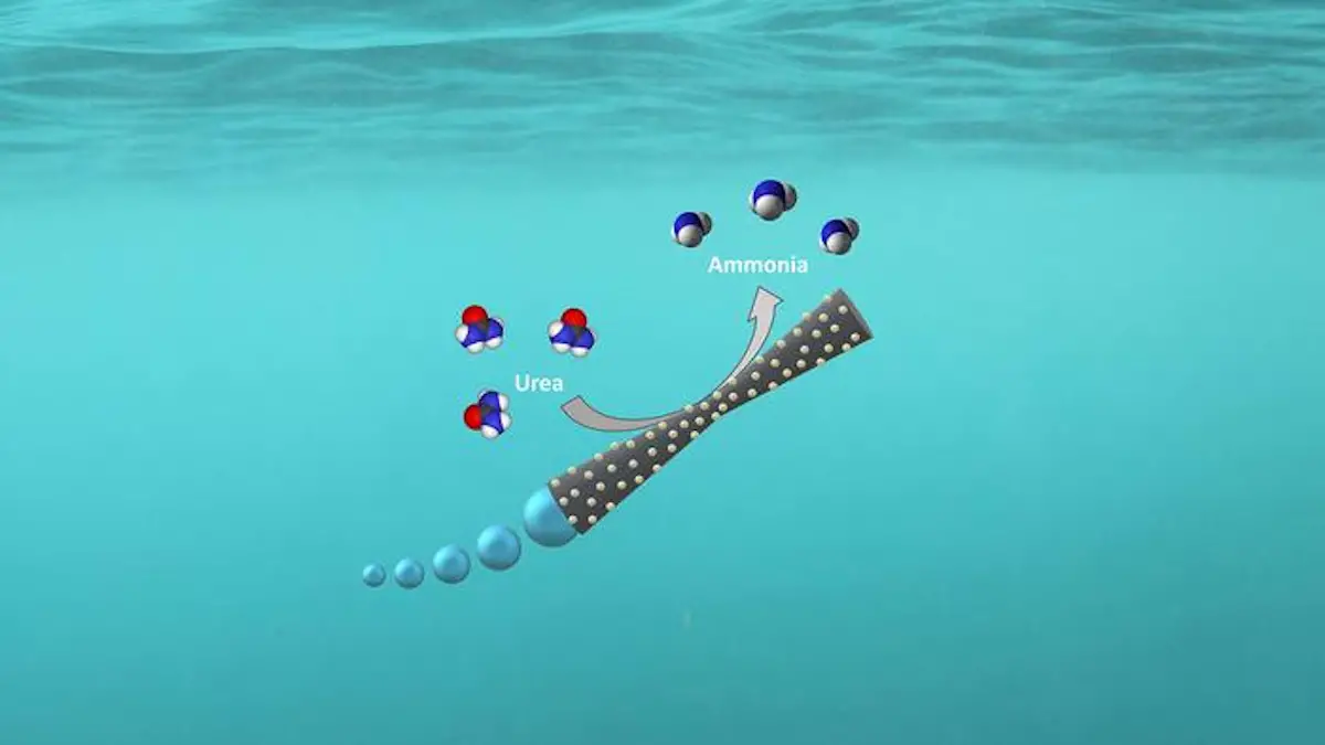 Des micromoteurs pour purifier les eaux usées et produire de l'énergie verte