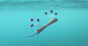 Des micromoteurs pour purifier les eaux usées et produire de l'énergie verte