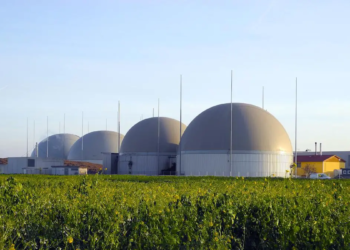Valorisation de la biomasse : comment éviter les accidents industriels ?