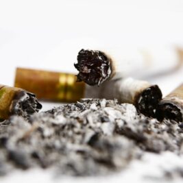 Les déchets de cigarettes, une ressource inattendue pour le biodiesel