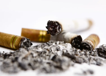 Les déchets de cigarettes, une ressource inattendue pour le biodiesel