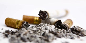 Les déchets de cigarettes, une ressource inattendue pour le biodiesel