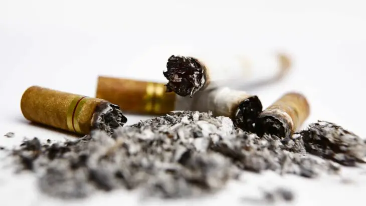 Les déchets de cigarettes, une ressource inattendue pour le biodiesel