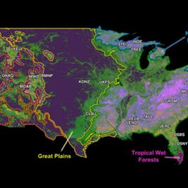 Mesurer la biodiversité grâce aux lasers spatiaux