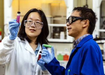 Batteries : une nouvelle méthode de recyclage extrait près de 100% du cobalt et du lithium