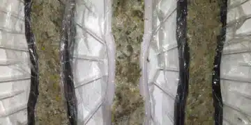 Un matériau d'isolation innovant à base de balle de riz