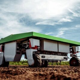 Ce robot utilise l'IA pour éliminer les mauvaises herbes de votre jardin