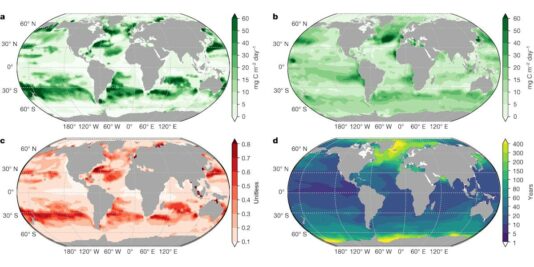 La 'neige marine', un phénomène crucial pour le stockage du carbone 4 La 'neige marine', un phénomène crucial pour le stockage du carbone