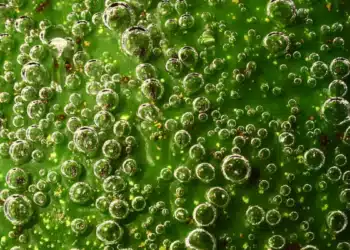 La 6mA, une clé pour augmenter la production de biocarburants