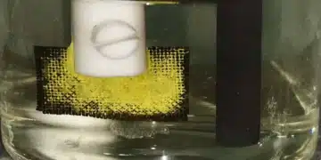 L'uranium marin : une réserve de combustible nucléaire à portée de main ?