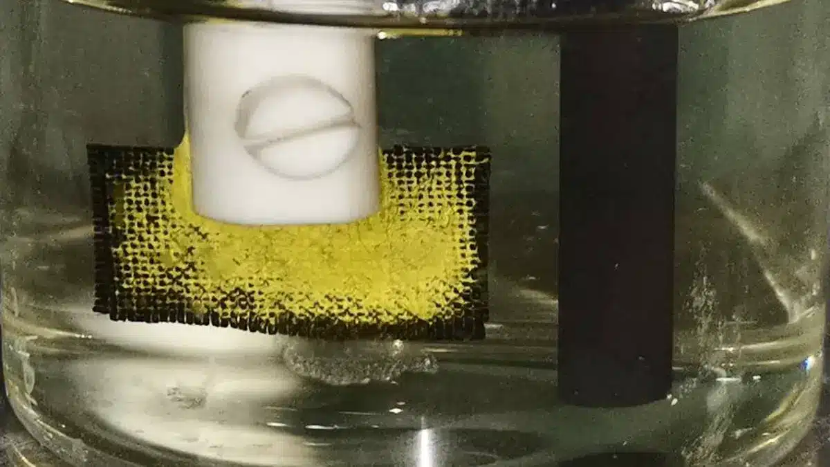 L'uranium marin : une réserve de combustible nucléaire à portée de main ?
