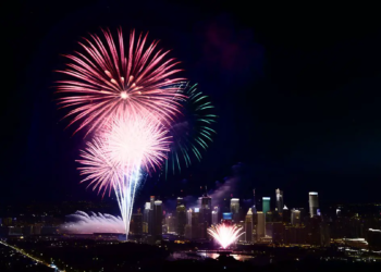 Quand les feux d'artifice du Nouvel An bouleversent la vie des oiseaux