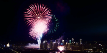 Quand les feux d'artifice du Nouvel An bouleversent la vie des oiseaux