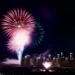 Quand les feux d'artifice du Nouvel An bouleversent la vie des oiseaux