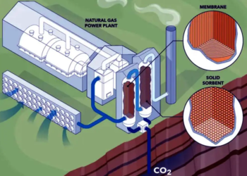 Le gaz naturel et la capture du carbone : vers une énergie plus propre