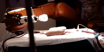Des millirobots sans fil naviguent dans les vaisseaux sanguins pour la première fois