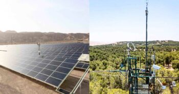 Bataille climatique : Forêts naturelles vs parcs solaires artificielles