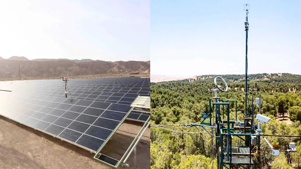 Bataille climatique : Forêts naturelles vs parcs solaires artificielles