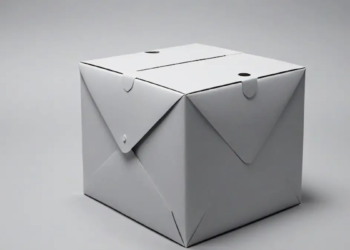 De l'emballage à la protection : une transformation écologique du carton