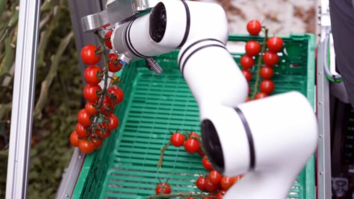Robot cueilleur : une solution innovante pour l'agriculture en serre