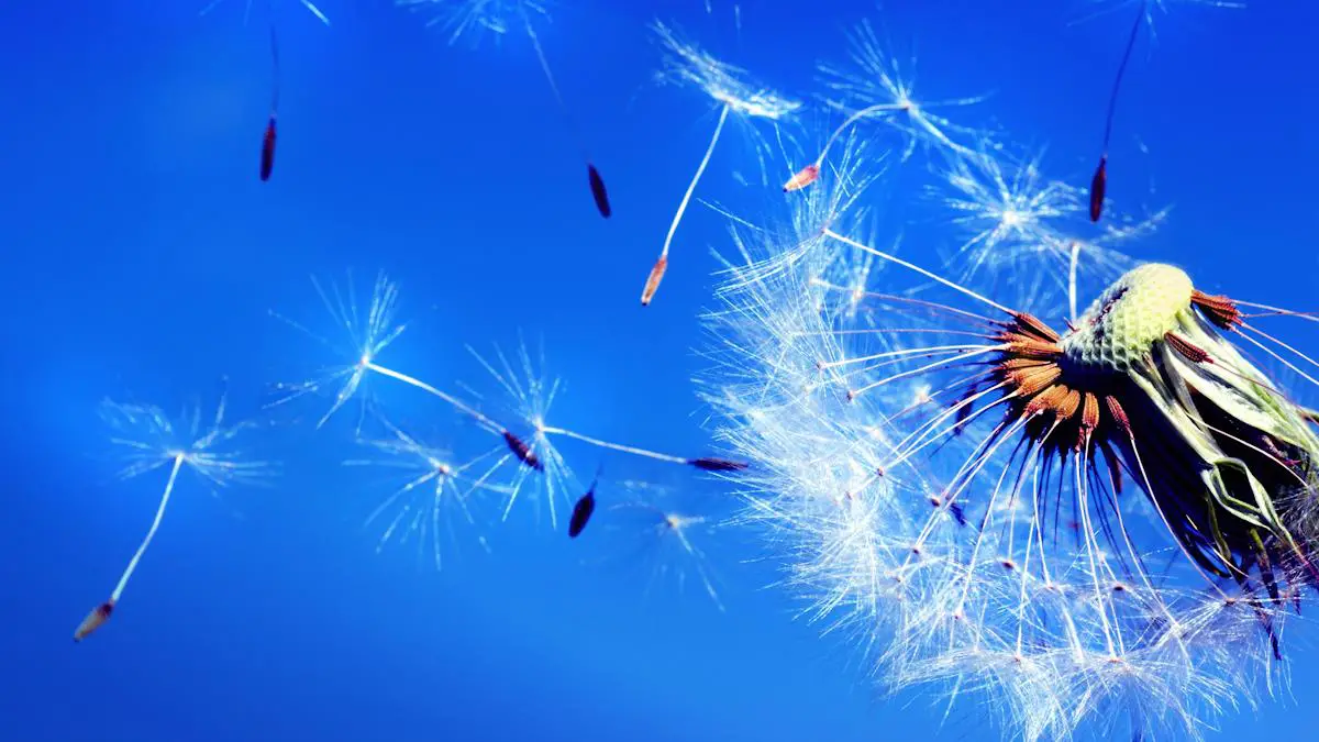 Pourquoi le pollen reste un frein à l'énergie solaire ?