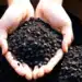 1 000 tonnes de charbon végétal pour une agriculture durable