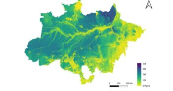 Une nouvelle carte révèle la biomasse de la forêt amazonienne brésilienne