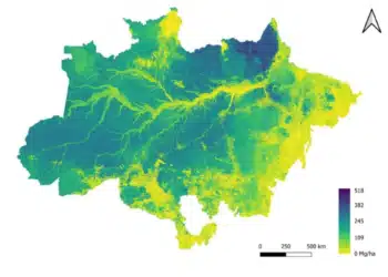 Une nouvelle carte révèle la biomasse de la forêt amazonienne brésilienne