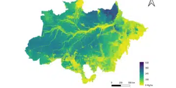 Une nouvelle carte révèle la biomasse de la forêt amazonienne brésilienne