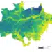 Une nouvelle carte révèle la biomasse de la forêt amazonienne brésilienne