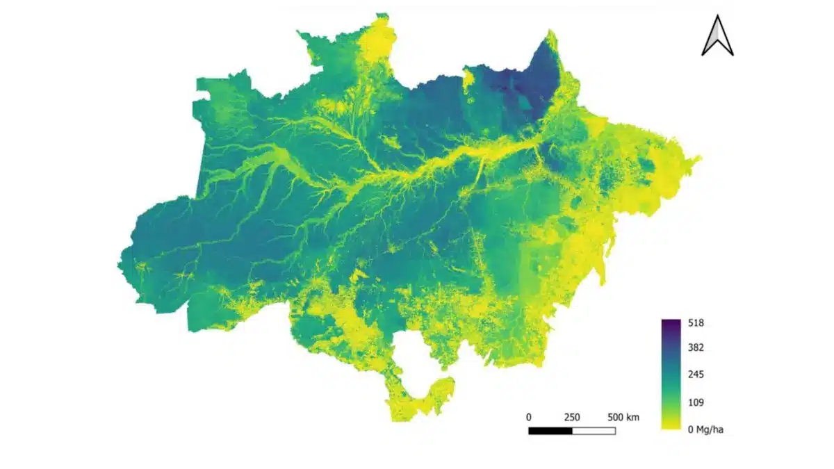 Une nouvelle carte révèle la biomasse de la forêt amazonienne brésilienne