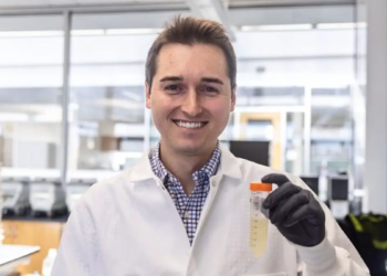 Bioénergie : des microbes multitâches pour une production plus durable