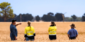 Neoen lance la construction de la centrale solaire de Culcairn (440 MWc)