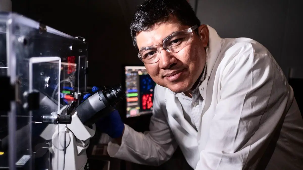 Des "marteaux-piqueurs" moléculaires pour détruire les cellules cancéreuses