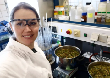 Les pigments naturels : le futur de l'industrie textile est-il enfin là ?