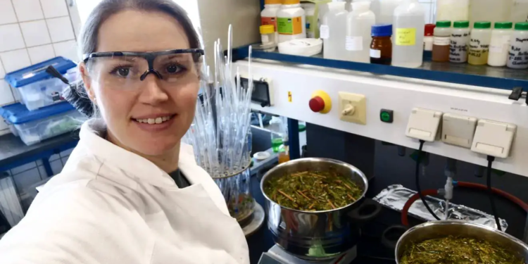 Les pigments naturels : le futur de l'industrie textile est-il enfin là ?