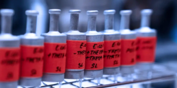 La biologie synthétique ouvre une nouvelle voie pour la capture du CO2