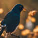 L'essor des énergies renouvelables : un danger caché pour les oiseaux ?